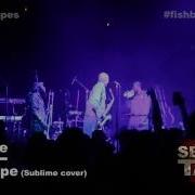 Fishbone Date Rape Sublime Cover