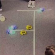 Beebots In Computing