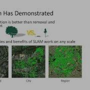 SMA Part 3 Comprehensive Approach To EAB Management Private Public