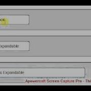 Expand Textbox While Focus