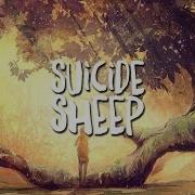 Shadows Of Light Mix