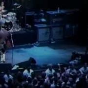 Blink 182 Mutt Live 1999