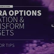 EXTRA OPTIONS ROTATION TRANSFORM WIDGETS UNREAL ENGINE UE4 UE5
