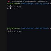 Command Line Chatting Application In Python