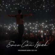 Felfena Vw Arena 2023 Live