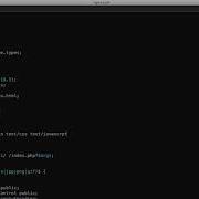 17 Gzip Nginx