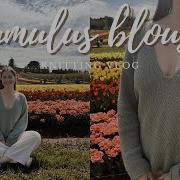 Видеоблог о вязаном проекте Блузка Cumulus от Petite Knit Hayleys Space