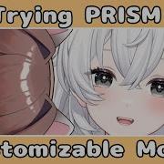 First Time Trying Out Customizable Model PRISM Customizable Model