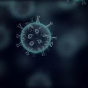 Coronavirus Covid 19 Cell Sameless Loop Animation 60 00 Min Free