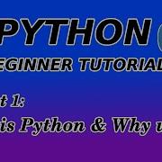 Введение в Python Урок для начинающих Часть 1