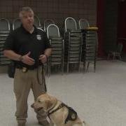 First Hand Look At ATF K 9 Certification