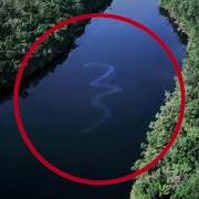 The Biggest Snake In The World