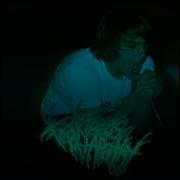 Fear Feeds My Apathy Maintainin FULL EP