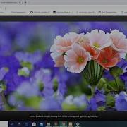06 Fancy Box In Image Gallery And Delete Image With A Confirmation Popup