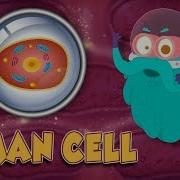 HUMAN CELL The Dr Binocs Show Best Learning Videos For Kids Peekaboo Kidz