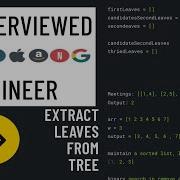 Python Interview With A FAANG Engineer Extract Leaves From Tree