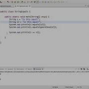 Java String Equals