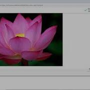 Opencv With Google Colab Read Display And Write Images Using OpenCV In Google Colab