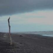 Broken And Bent By Peter Sallet
