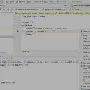 Отладка приложения Python в Docker с помощью PyCharm