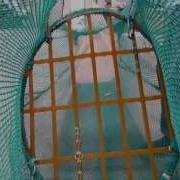 Turtle Excluder Device