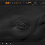 Pavwork 27 ZProject Brush And Smart Resym