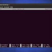 Introduction To BASH Scripting HELLO WORLD