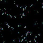 Reaction Diffusion Experiment Pr Test 08 Prs 506 Cyam Magenta Worms