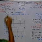 Bioinformatics Part 10 How To Perform Local Alignment