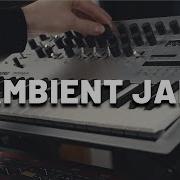 Ambient Jam With Korg Minilogue Analog Synth Session