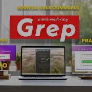 Инструмент GREP синтаксис демонстрация тест с множественным выбором серия основных команд 1