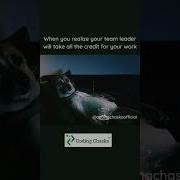 Funny Meme Programming Meme Coding Meme Ft Sad Dog