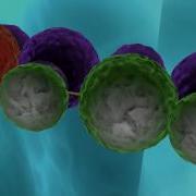New Model May Explain Emergence Of Self Replication On Early Earth