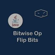 Bitwise Op Flip Bits In Java