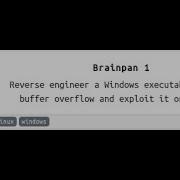 Brainpan Tryhackme Bufferoverflow