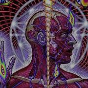 Schism In C Half A Step Down