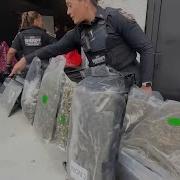 5 Million In Illegal Cannabis Products Seized In Bronx Drug Bust 11 Arrested
