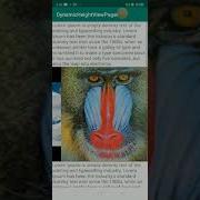 ViewPager With Dynamic Height Images Inside Scroll View