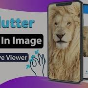 Flutter Tutorial How To Pinch To Zoom An Image The Right Way Zoom In Out Images