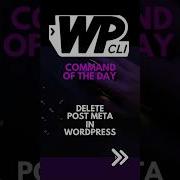 WP CLI Pro Tip Delete WordPress Post Metadata Using WP CLI WPCLI WordPress