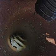 Пчелы убийцы в Уайтуотер Дроу