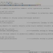 Vectors And Wrapper Classes In Java