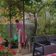 Красота сельской жизни Простая рутина Кулинария и стиль коттеджкор