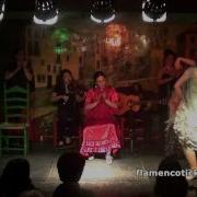 Tablao Flamenco Albayzin Flamenco Show In Granada Video 1 Flamencotickets Com