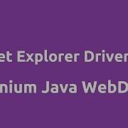 Internet Explorer Driver Setup On Windows