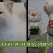 Tiny Chef Chat With Miss Penny Tew