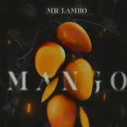 Mr Lambo Mango Slowed Reverb