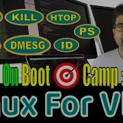 Essential Linux CMD ЖИВАЯ ДЕМОНСТРАЦИЯ по Ps Top Kill Htop Uname Dmesg Id Chgrp Cpuinfo