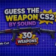 Can You Guess All 30 CS2 Weapons By Sound