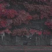 Sleep Token Isolated Vocals From Even In Arcadia